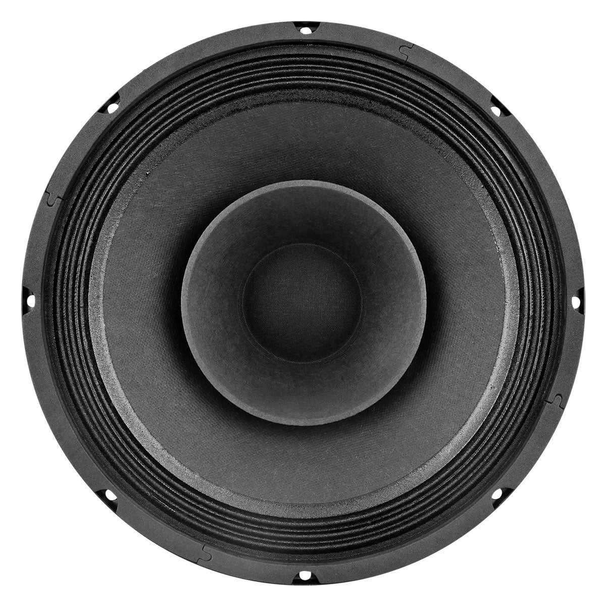 PRV Audio 10FR300 10-Inch Full-Range Loudspeaker 8 Ohm