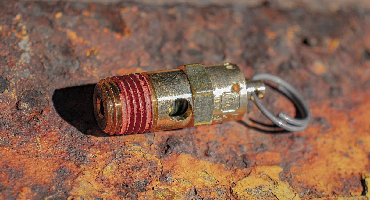 205 PSI Safety Blow-off Valve (for 175 PSI Systems) HornBlasters