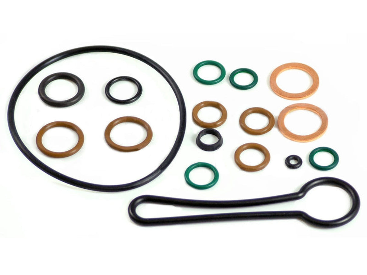 3C3Z9C165AA OE Fuel Filter Assembly Seal Kit, 2003.5-2007 Ford 6.0L Powerstroke Ford OEM