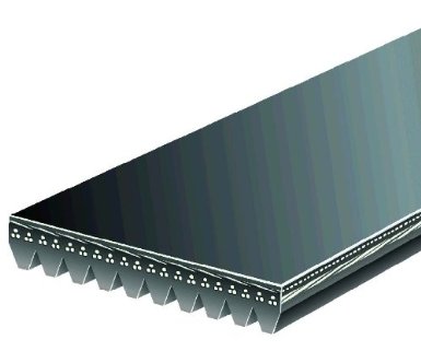 Gates 6- Rib 91.5" Belt