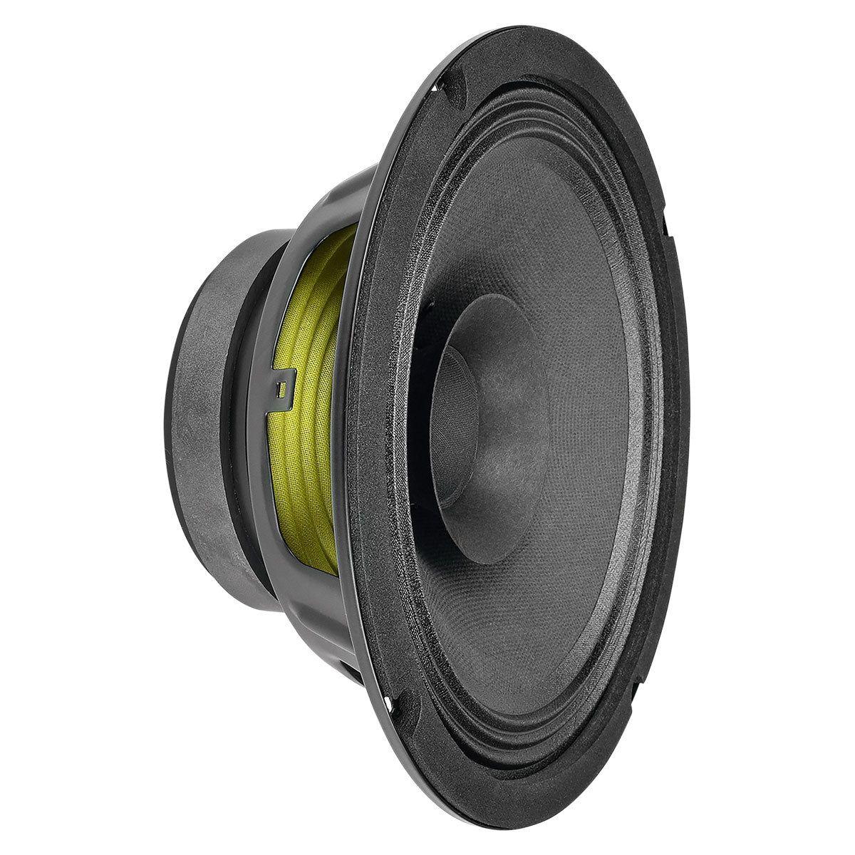 PRV 8FR250 Fullrange PRV Audio