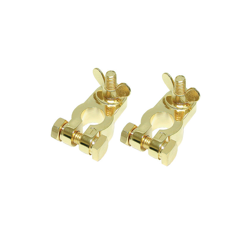 BT-100P Wingnut Terminal Audiopipe