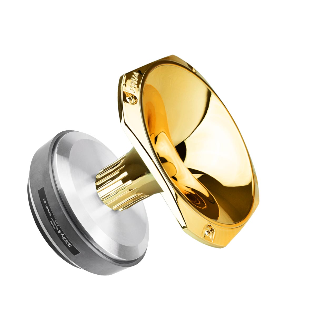 PRV Audio PRV210-290 GOLD Dual 10in Chuchero Speaker Box