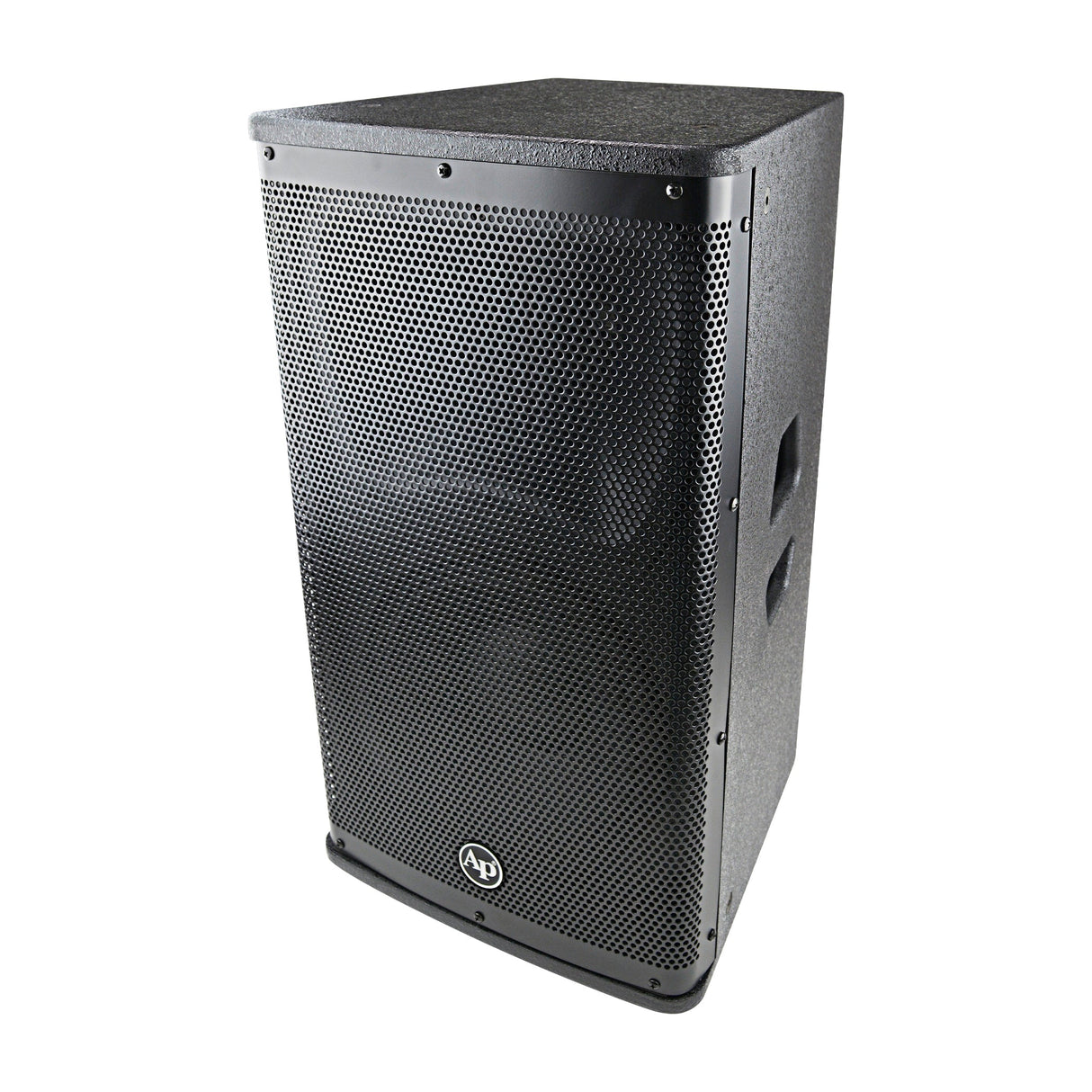 10” Professional 2-Way Passive Loudspeaker (DJAK-P10) Audiopipe