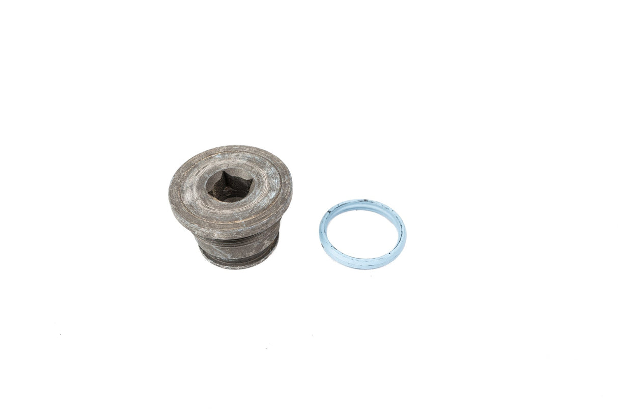 Ford OEM High Pressure Oil Rail Plug Ford OEM