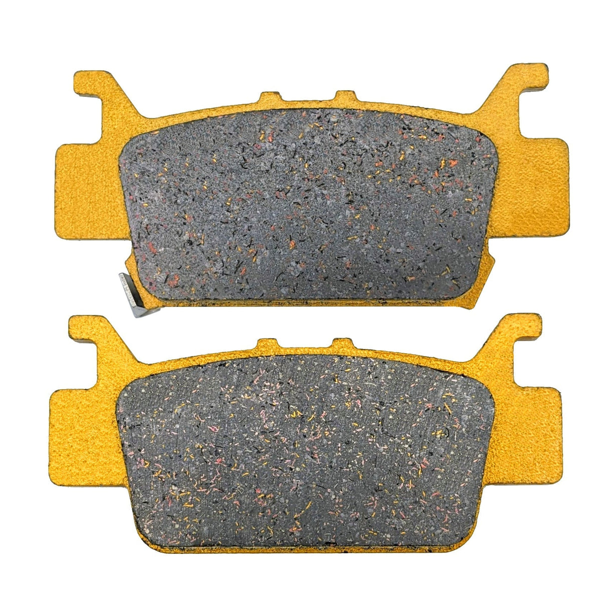 Honda Talon 1000R/1000X/1000X-4 2019-2026 Ridge Rider Rotor and Pad Kit Traild