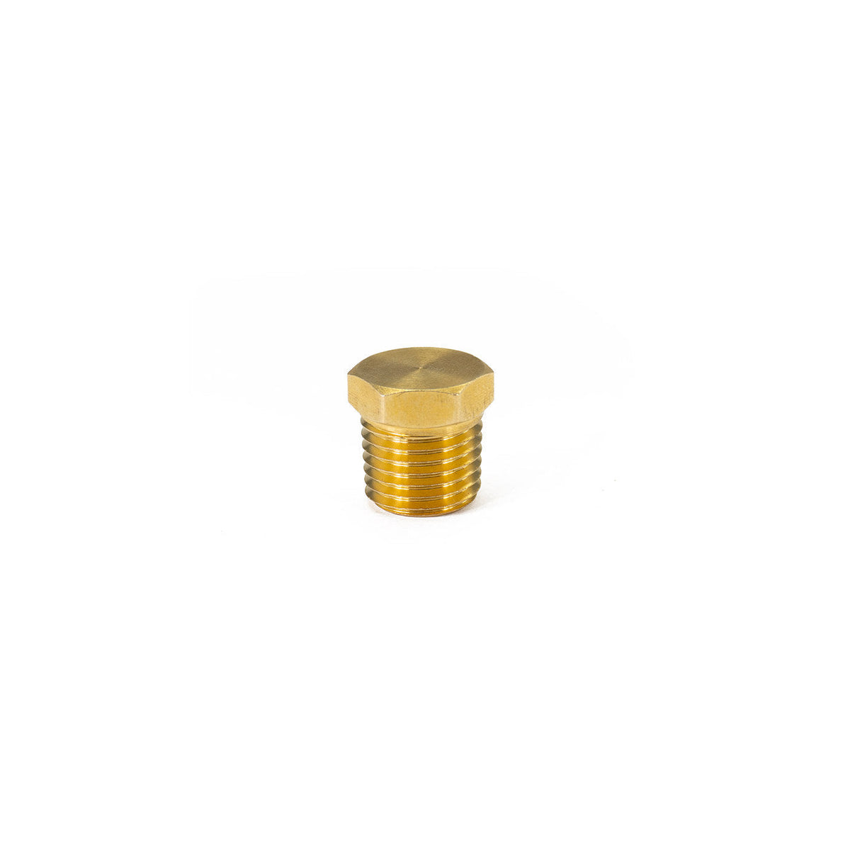 1/4" NPT Brass Plug HornBlasters