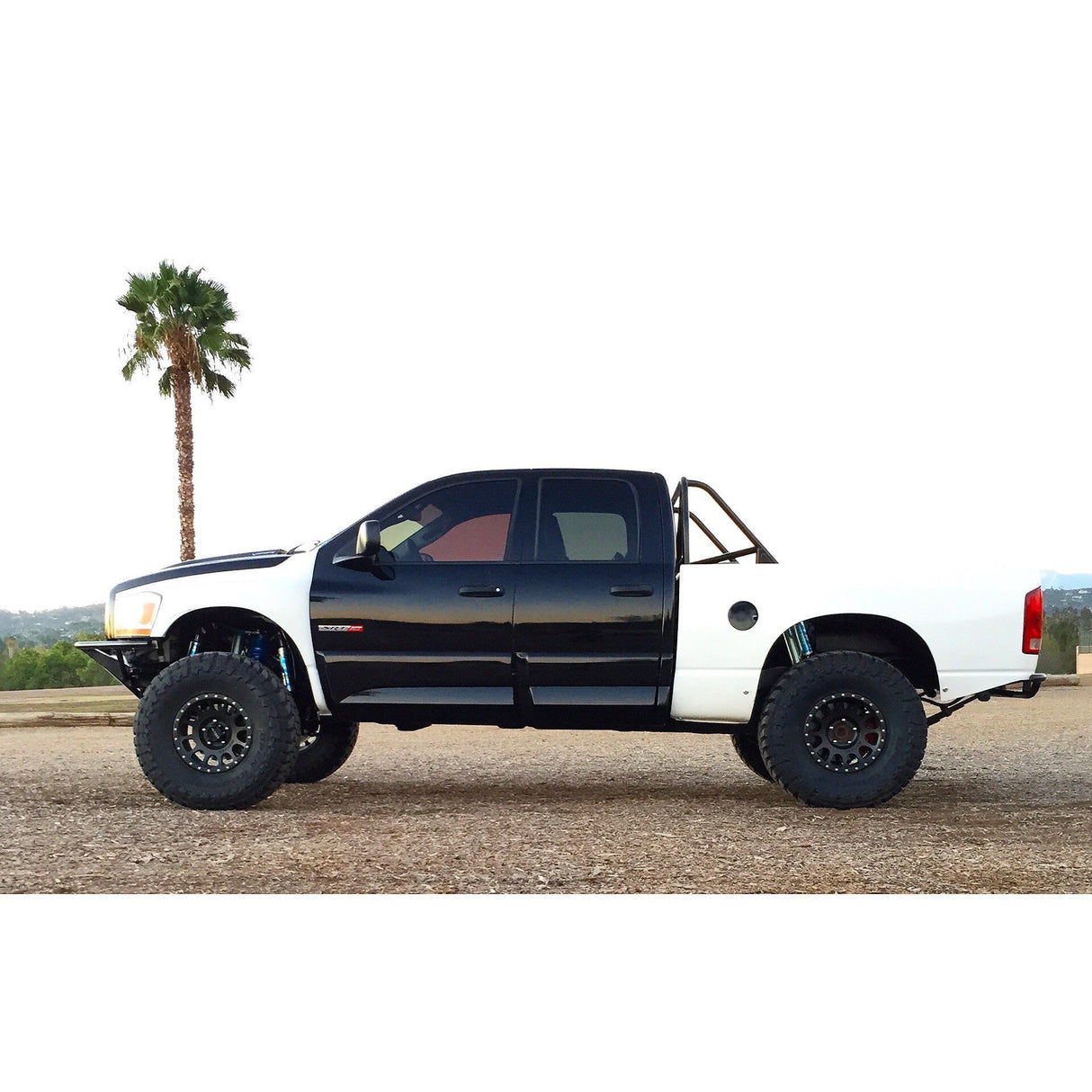 2003-2008 Dodge Ram Bedsides Advanced Fiberglass Concepts