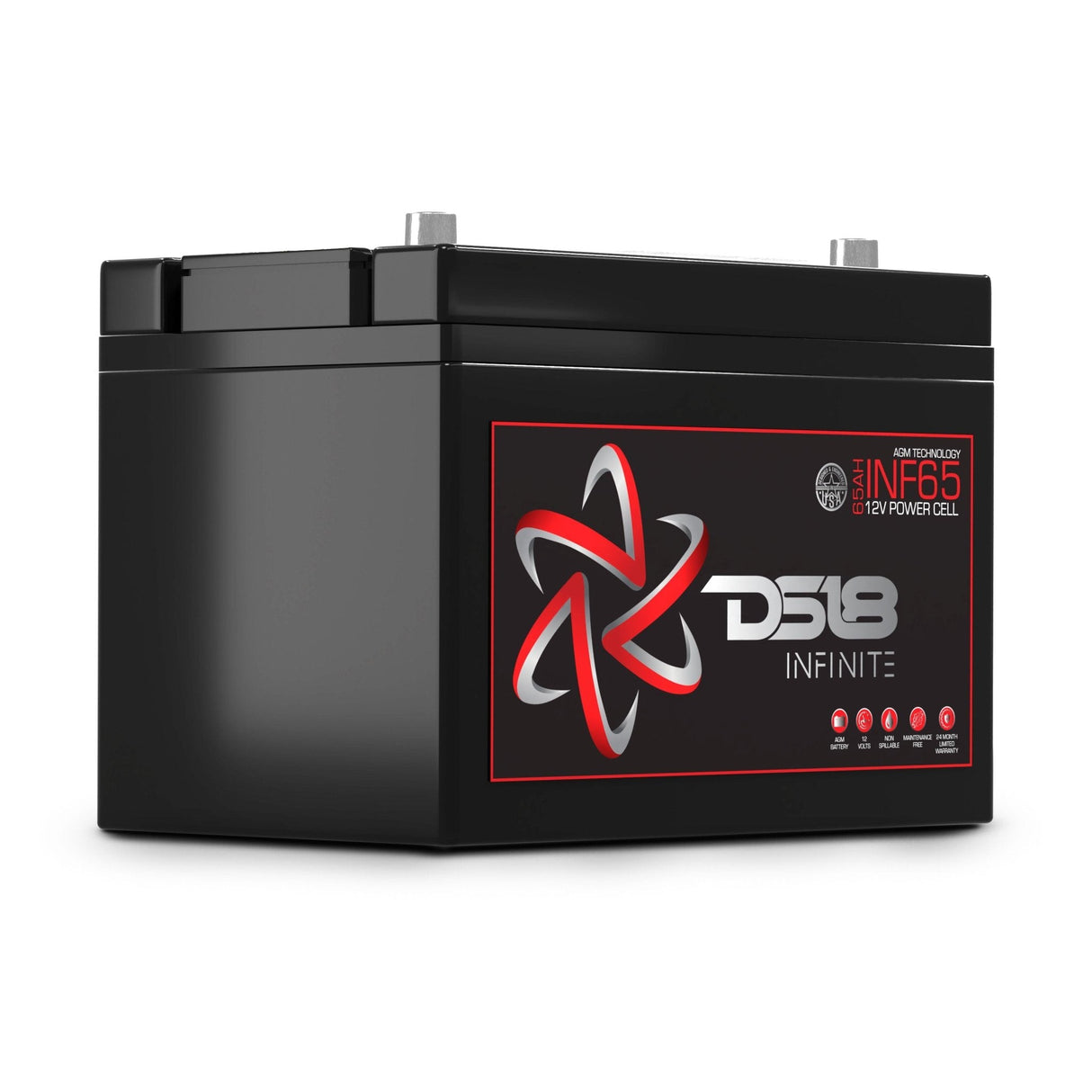 INFINITE 2000 Watts 65 AH AGM Power Cell