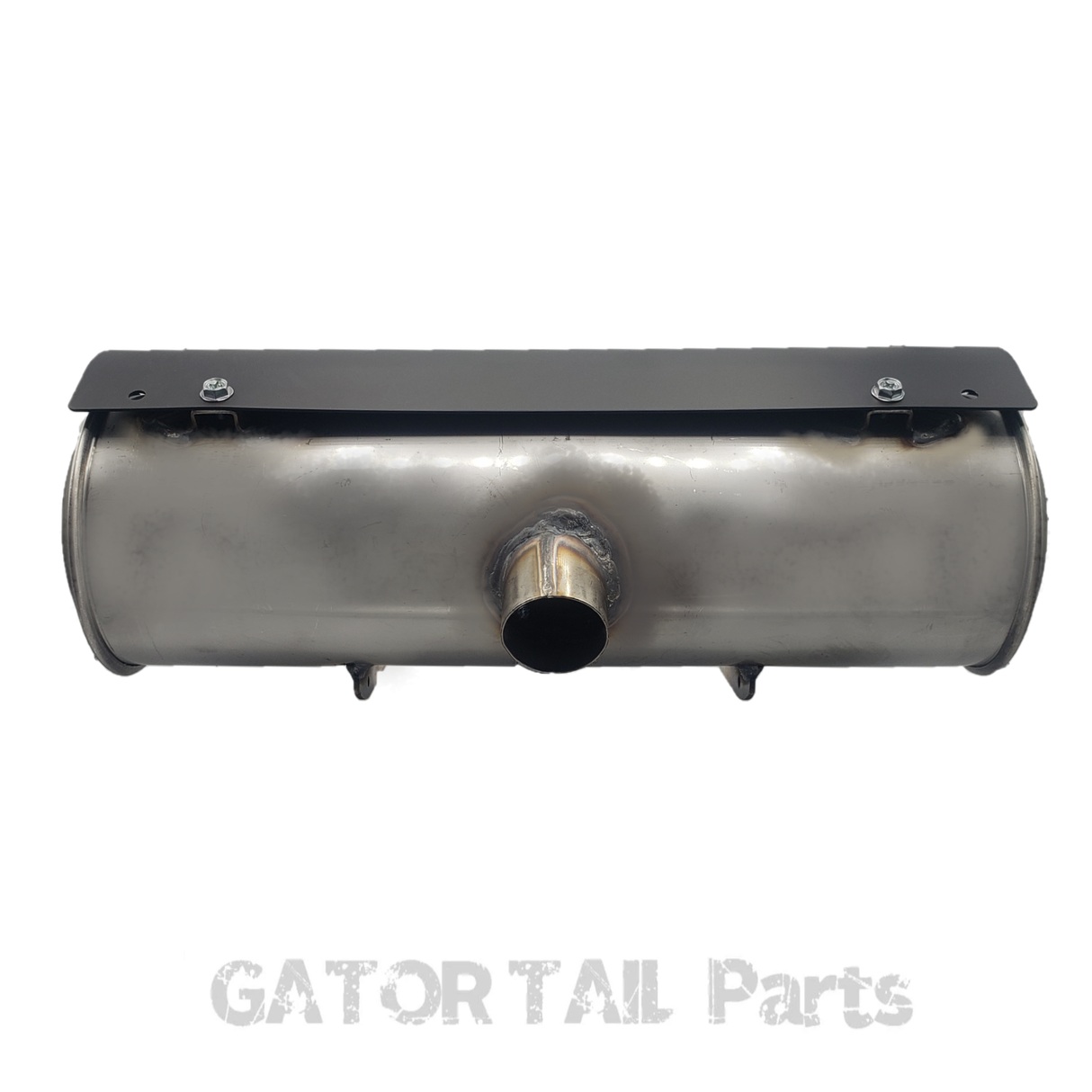 Muffler Briggs