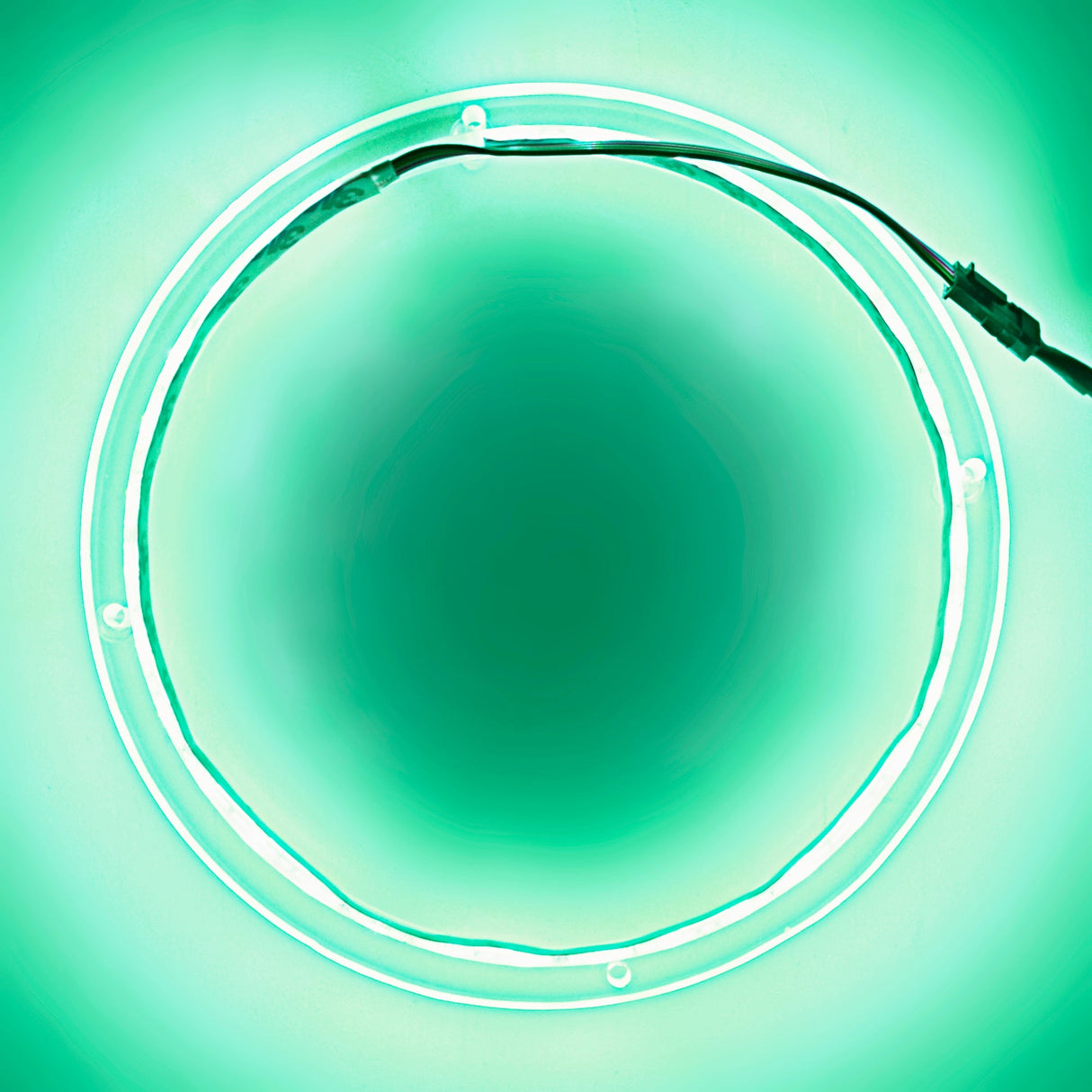 12" RGB LED Speaker Rings (NL-RIAPMP-12RGB) Audiopipe