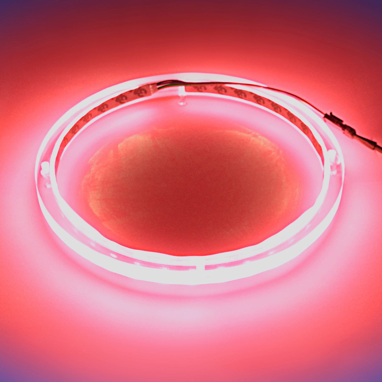 12" RGB LED Speaker Rings (NL-RIAPMP-12RGB) Audiopipe