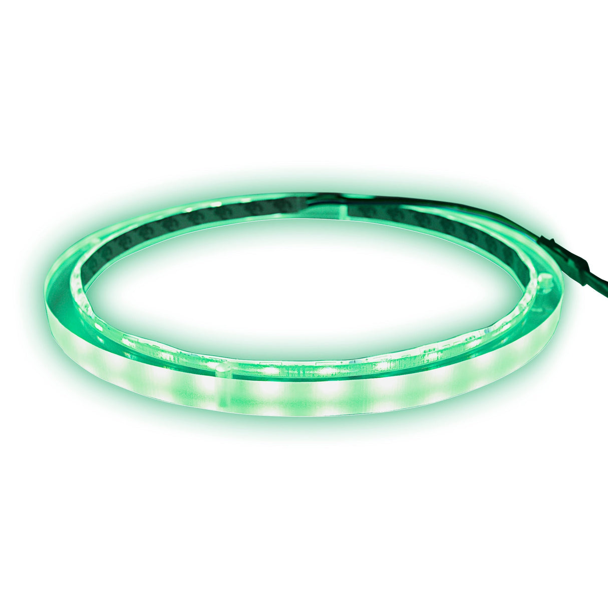 12" RGB LED Speaker Rings (NL-RIAPMP-12RGB) Audiopipe