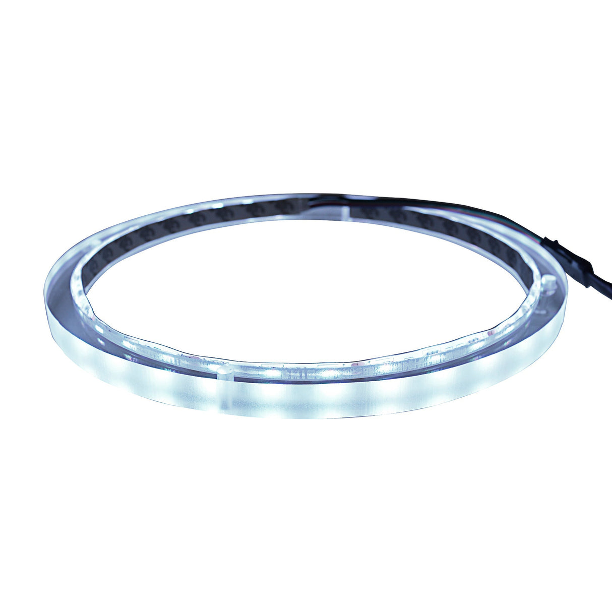 10" RGB LED Speaker Rings (NL-RIAPMP-10RGB) Audiopipe