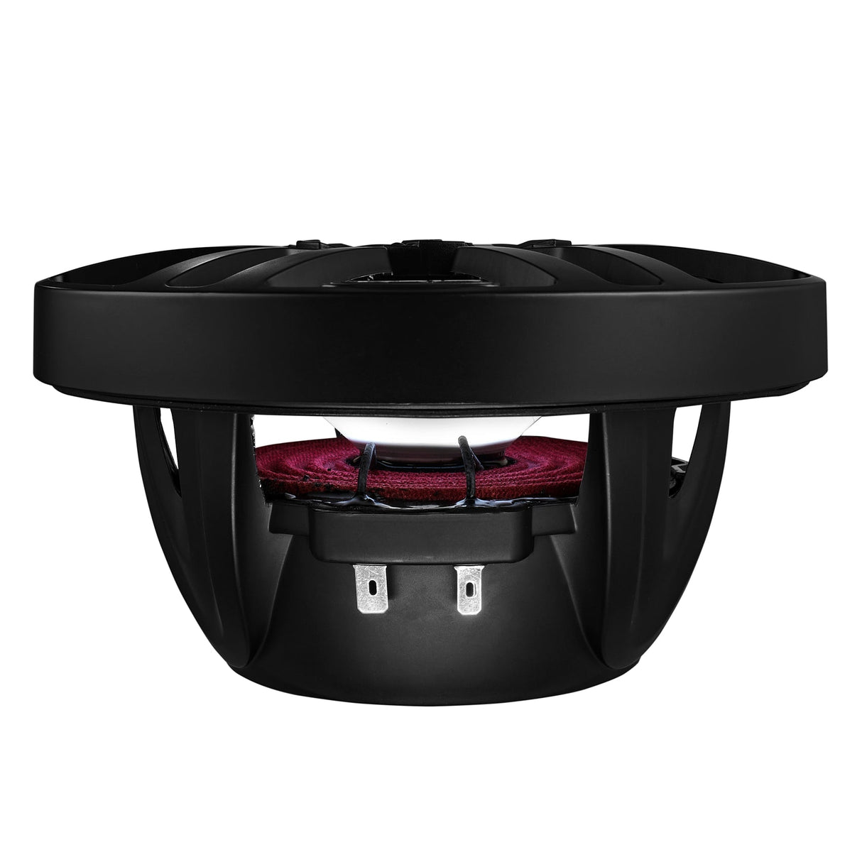 NXL 6.5" 2-Way Coaxial Marine Speaker with LED RGB Lights | 100W RMS 4-Ohm