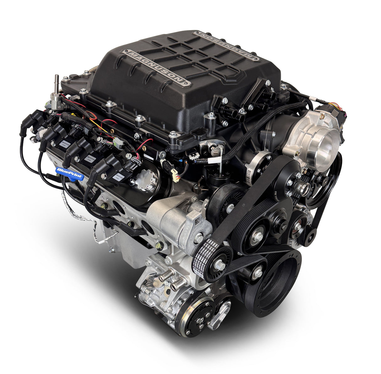 GM LS Compatible 427 c.i. Pro Series Engine - 830 Horsepower - Deluxe Dressed - Natural Pulley Kit - Holley Terminator X EFI System
