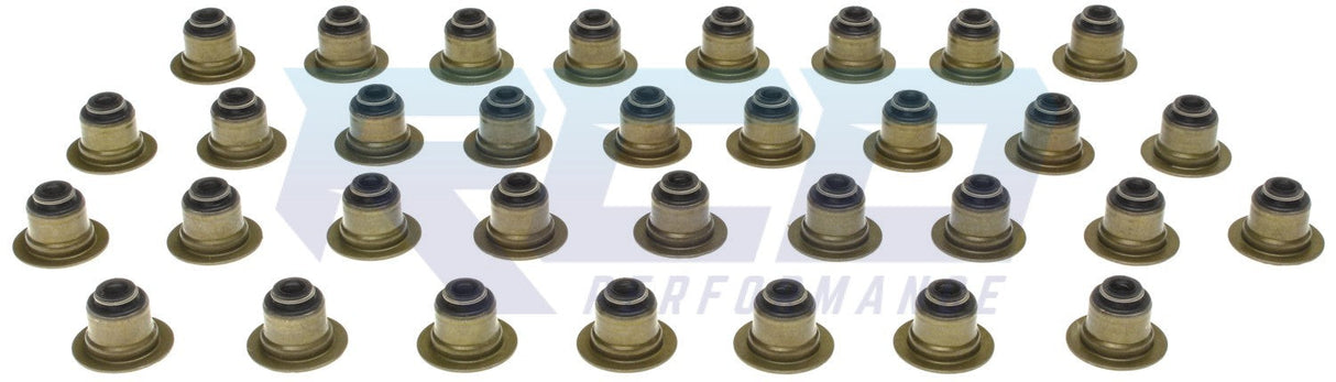 Mahle 6.7L Valve Stem Seal Set