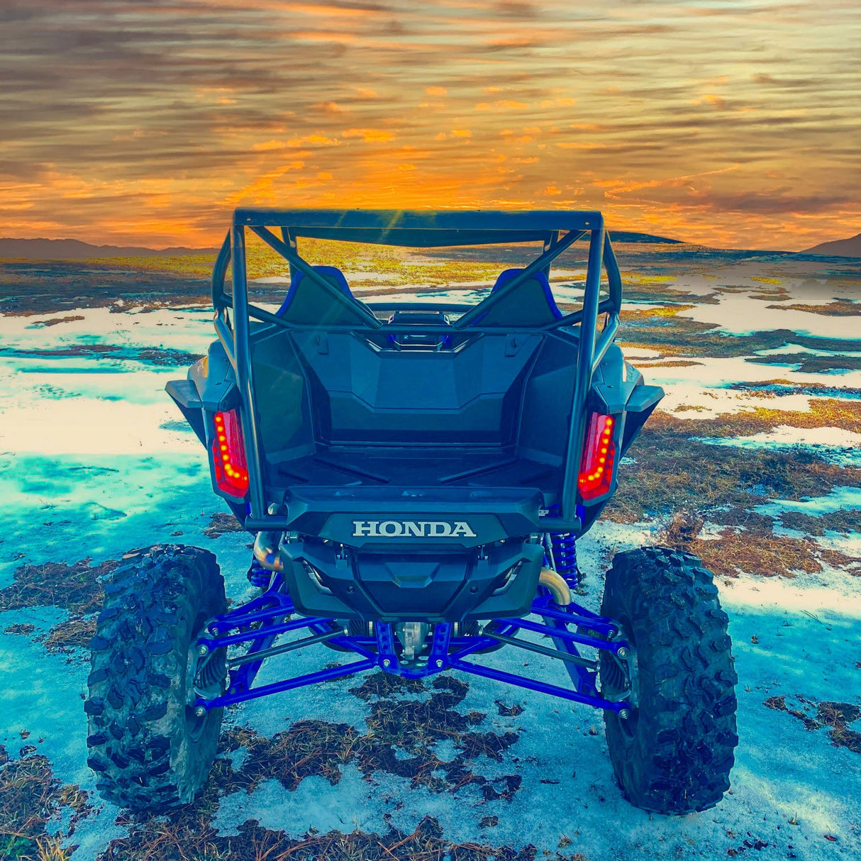 Honda Talon 1000 Roll Cage (2 Seat)