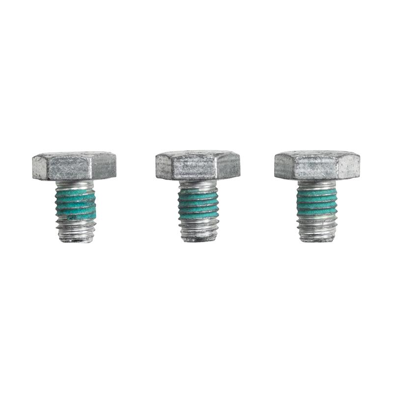 Torque Converter Bolts