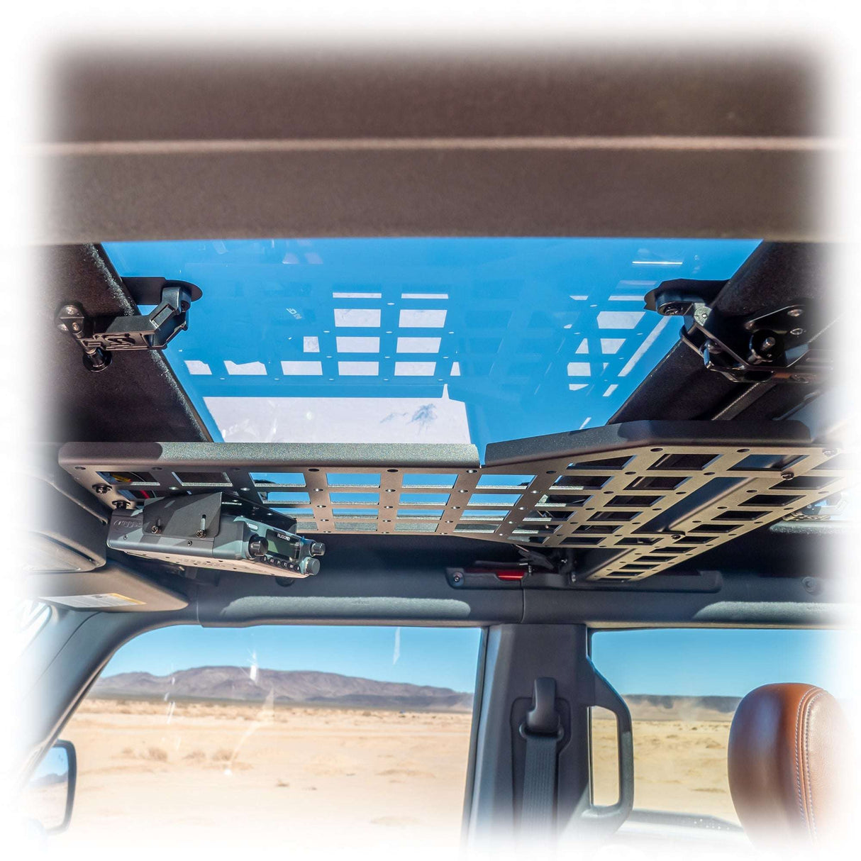 Cage Brace & Overhead MOLLE| 2021-2026 Ford Bronco | 4 Door Turn Offroad