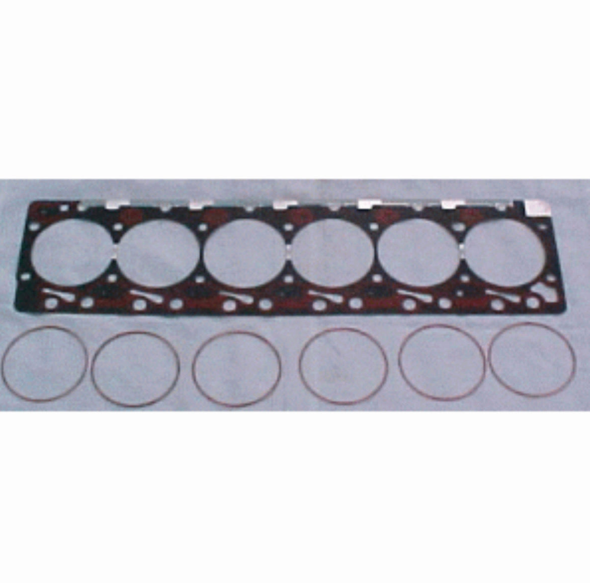 Fire Ring Head Gasket (89-98) .105 x 4.550 Far From Stock Power Driven Diesel