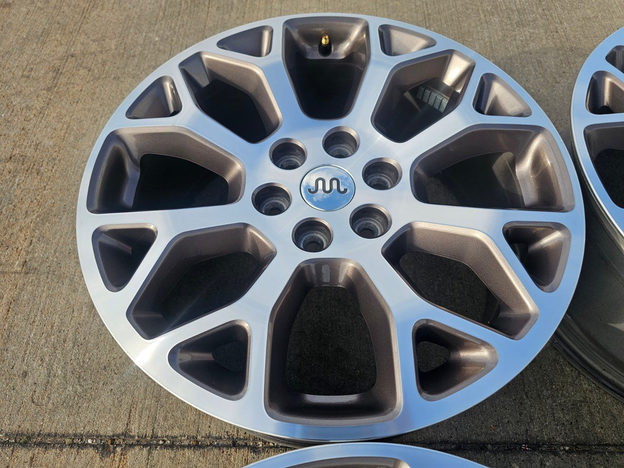 20" Ford F-150 KING RANCH OEM 10346 rims wheels Expedition 2024 2025 2026 Texas Truck Tire