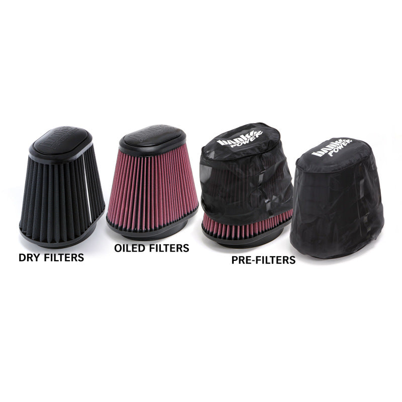 Système d'admission d'air Ram-Air Banks Power 04-08 Ford 5.4L F-150 - Filtre sec