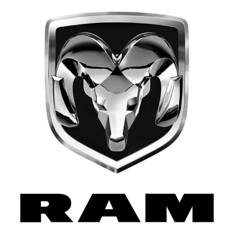 Ram Platinum High Performance Solutions, LLC.