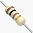 Resistors 100 Ohm 1/2 Watt 5% - 2 Pack TekShack