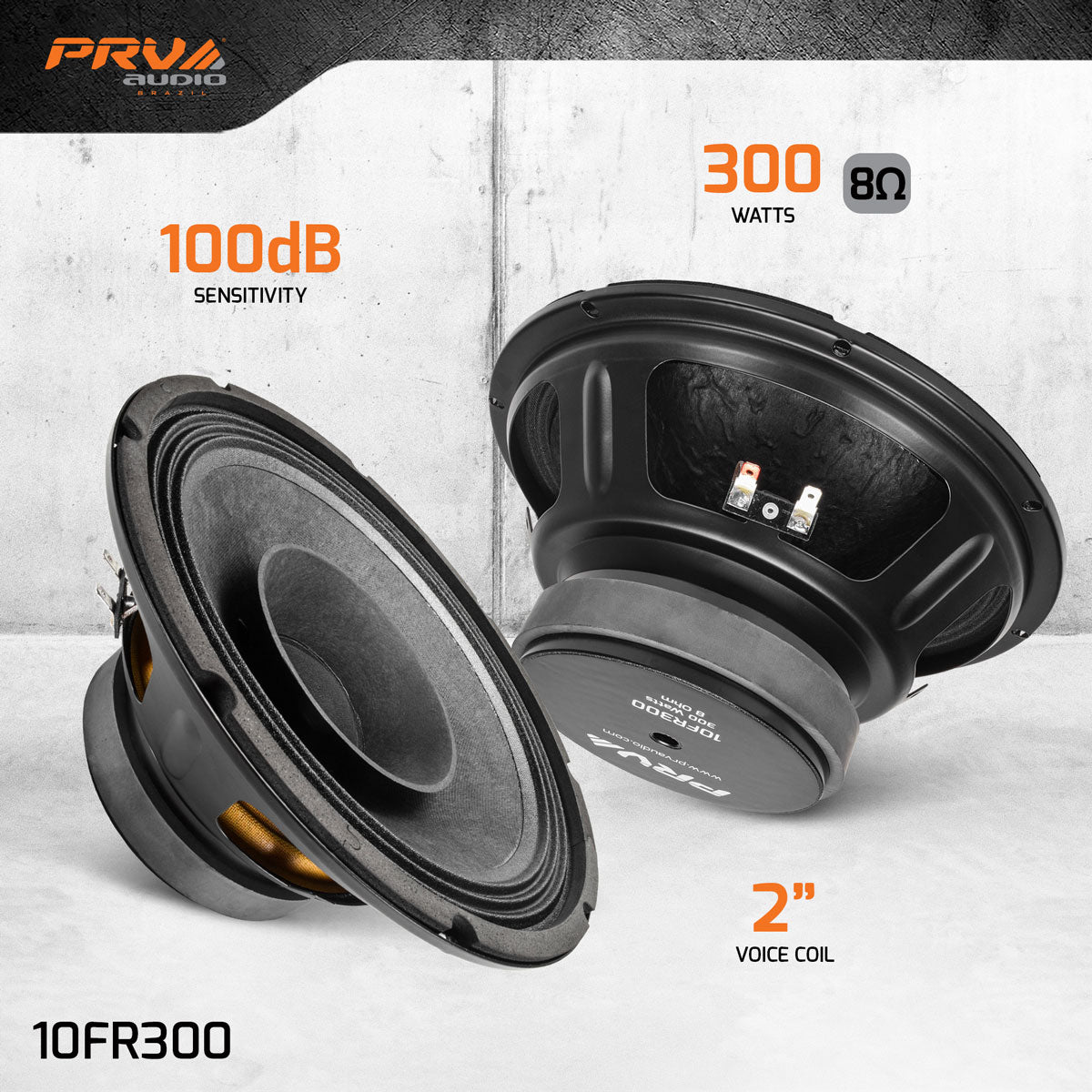 PRV 10FR300 Fullrange PRV Audio
