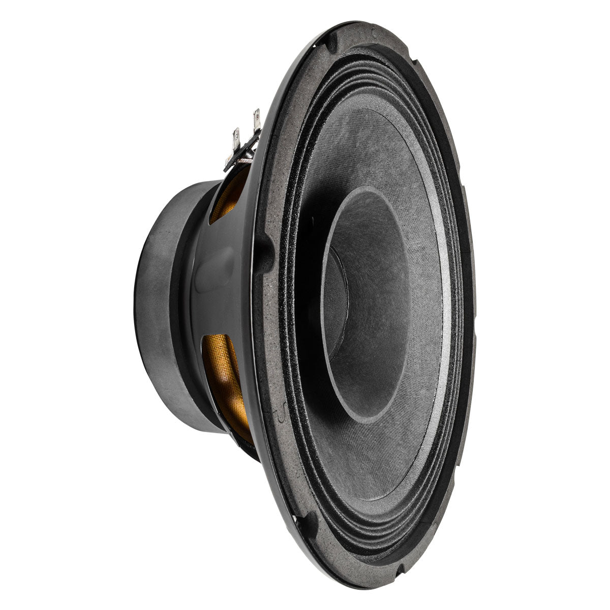 PRV 10FR300 Fullrange PRV Audio