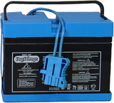 12V Official Battery for Peg Perego Ride-On Vehicles