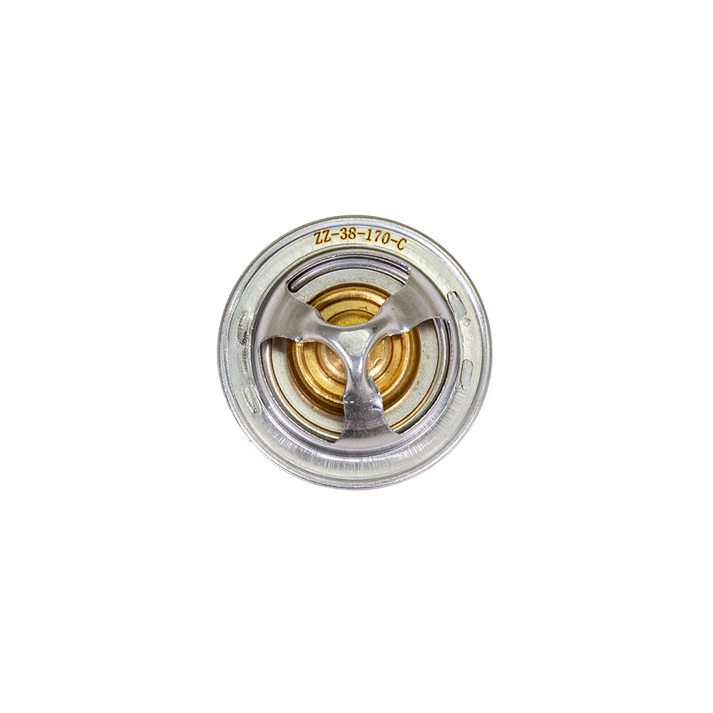 ZZP 3800 High Flow Thermostat
