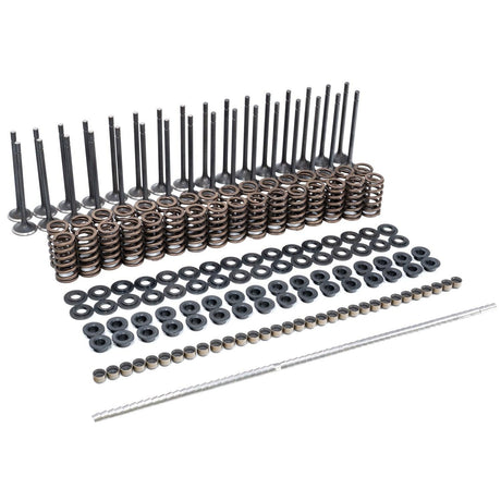2001-2016 Duramax PPE Valve & Spring Kit (110090080)