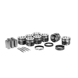 2011-2016 Powerstroke 6.7L Dualoy Piston & Ring Kit (7206DKT)