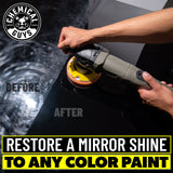 TORQ 10FX Random Orbital Polisher - 220v