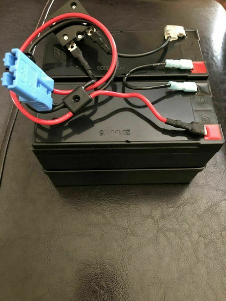 24V Battery with Special Connector for Disney Princess Buggy Carriage Ride On