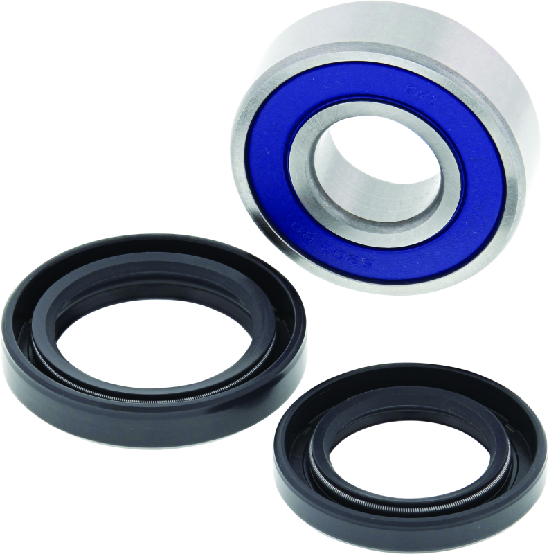 QuadBoss 06-09 Arctic Cat 250 2x4 Lower Steering Bearing Kit