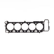 Photo - Primary