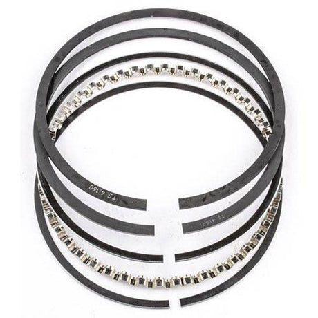 Mahle Rings Ford / Navistar 6.4L Direct Injection Turbo Diesel 2006-2010 Powerstroke Moly Ring Set Mahle OE