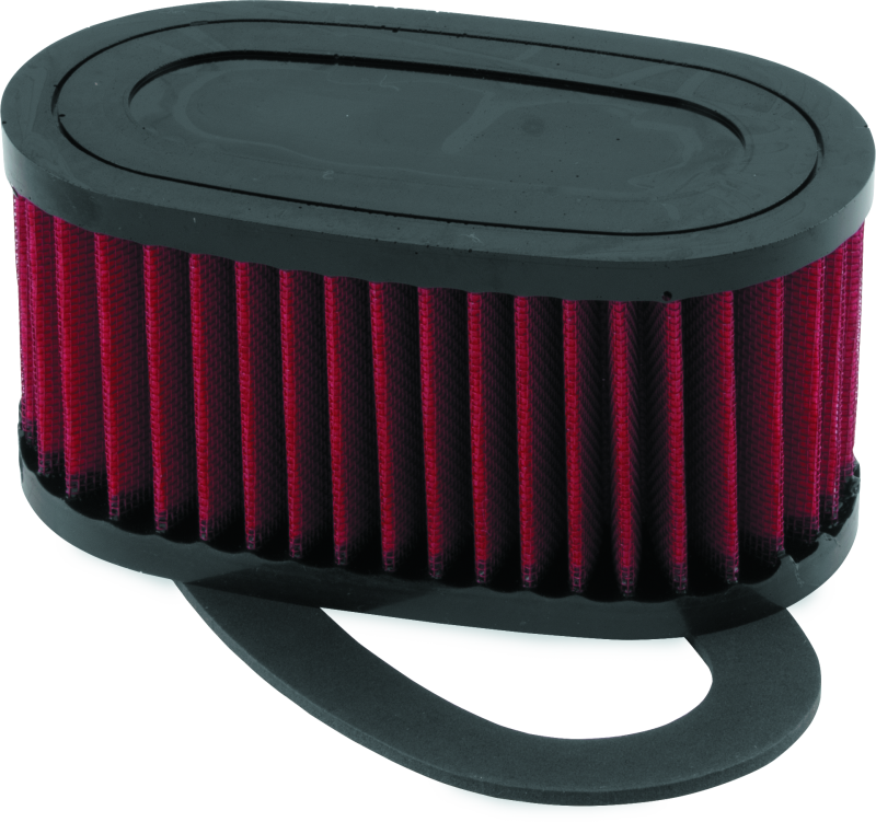 BikeMaster Honda VT750C/CD Shadow ACE/DLX Air Filter