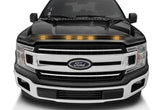 Protecteur de capot AVS Aeroskin LightShield Color pour Ford F-150 2016-2018, noir ombré