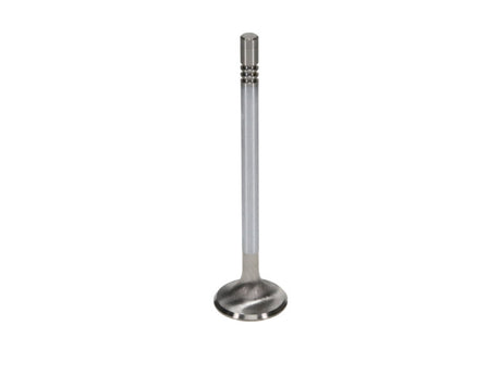 Soupapes d'échappement Race Master à triple rainure de 30 mm pour Ford 4,6 L DOHC (4 soupapes) Manley