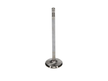 Soupapes d'échappement Race Master Manley Ford 4,6 L 34 mm de diamètre 117,35 mm de longueur (jeu de 8)