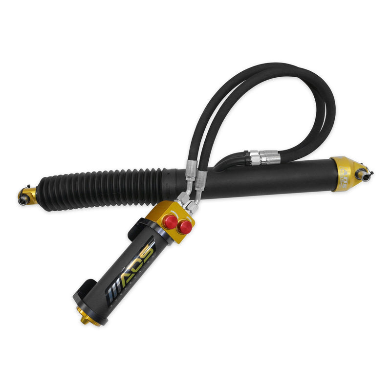 2021-2024 Ram 1500 TRX, Rear MBR Race Shocks 0-2 in. Lift