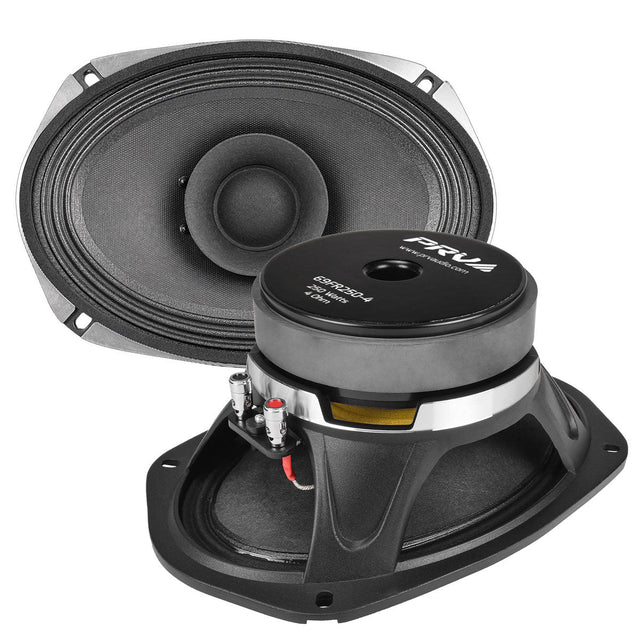 PRV 69FR250-4 Fullrange PRV Audio
