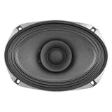 PRV 69FR250-4 Fullrange PRV Audio