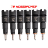 1998.5-2002 Cummins 5.9L Injector Set 75HP (DDPISB-75)