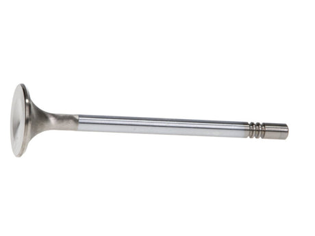 Soupapes d'admission en acier inoxydable Manley 99-12 Ford 4,6 L/281 5,4 L/330 V8 37 mm Race Series (jeu de 8)