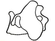 8C3Z6619G OE Oil Cooler Cover Gasket, 2008-2010 Ford 6.4L Powerstroke Ford OEM